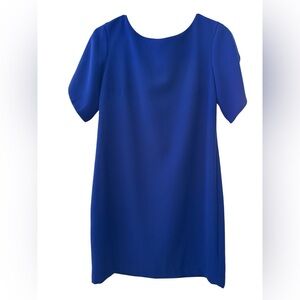 🥳 French Connection Vibrant Blue Dress